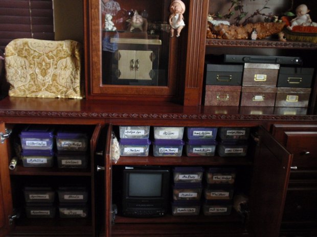 Denise Bledsoe Studio Shelves B