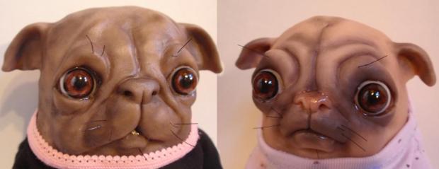 Pugs detail - Bledsoe